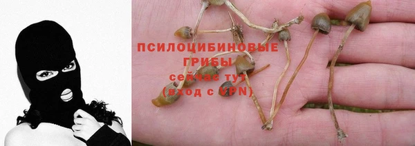 кокаин колумбия Корсаков