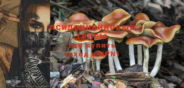 ГАЛЛЮЦИНОГЕННЫЕ ГРИБЫ Козельск