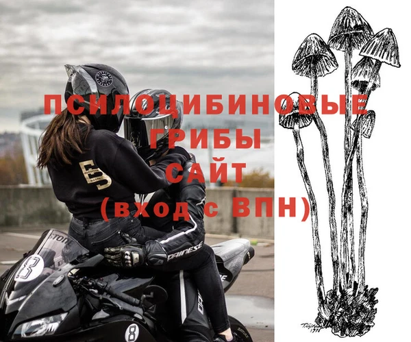 мет Коряжма
