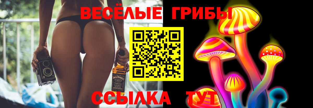 Галлюциногенные грибы Psilocybe  Вход с VPN  Галлюциногенные грибы Psilocybe  Жуковский 
